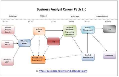 dior business analyst|Business Analyst .